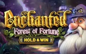 Enchanted Forest